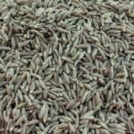 What is cumin seed?